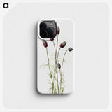 1-76_Mary-Vaux-Walcott_phone