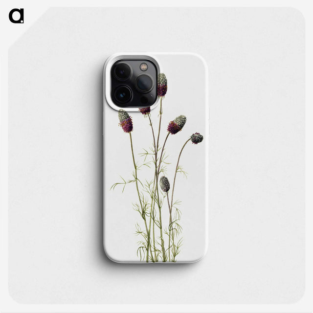 1-76_Mary-Vaux-Walcott_phone