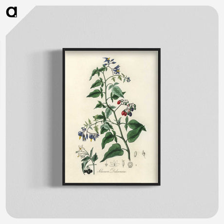 1-76_Medical-Botany_blk-crop