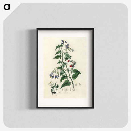 1-76_Medical-Botany_blk