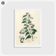 1-76_Medical-Botany_hagaki