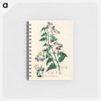 アートメモ帳-Bittersweet (Solanum dulcamara)
 - 薬用植物学 Memo.