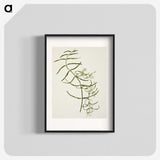 1-76_Native-Flowering-Plants-of-New-Zealand_blk