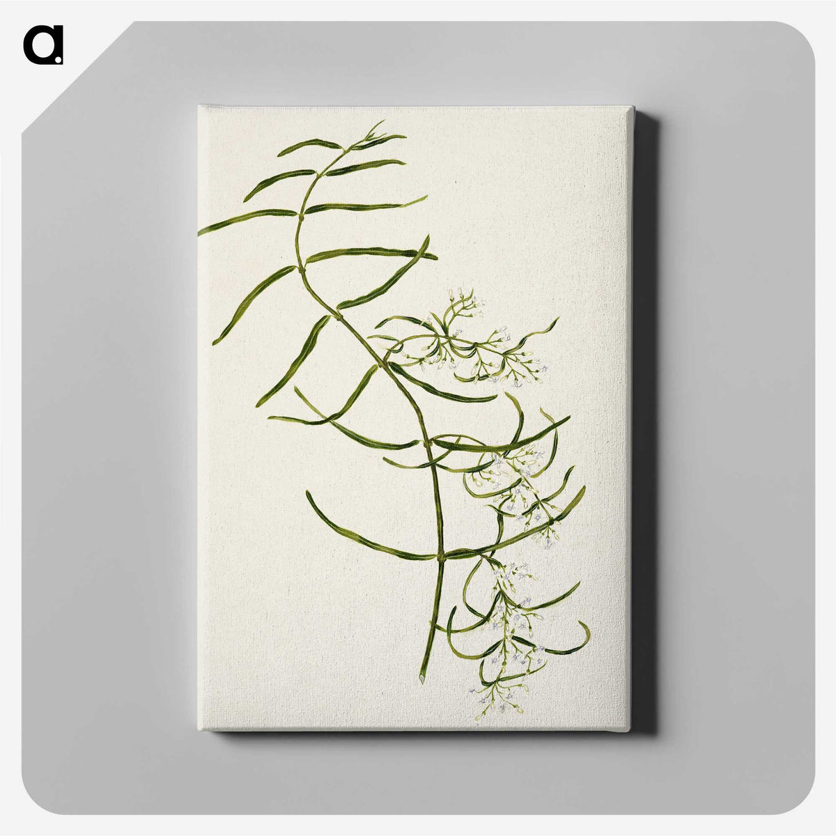 1-76_Native-Flowering-Plants-of-New-Zealand_canvas