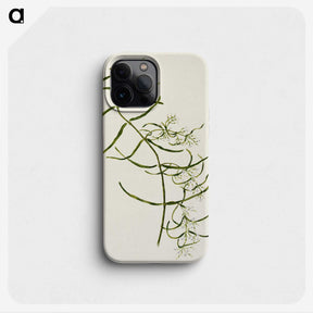 1-76_Native-Flowering-Plants-of-New-Zealand_phone