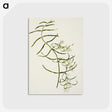 1-76_Native-Flowering-Plants-of-New-Zealand_postcard