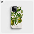 1-76_Nederlandsche-Flora-en-Pomona_phone