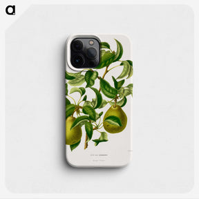 1-76_Nederlandsche-Flora-en-Pomona_phone