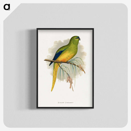 1-76_Parrots-in-Captivity_blk-crop