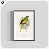 1-76_Parrots-in-Captivity_blk