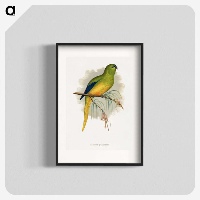1-76_Parrots-in-Captivity_blk