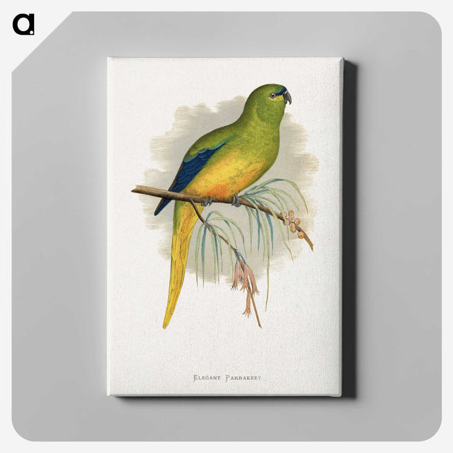 1-76_Parrots-in-Captivity_canvas
