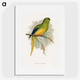 1-76_Parrots-in-Captivity_picture