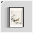 アートポスター-Chinese Tree-Pipit and Wheat
 - 鳥類図鑑 Poster.