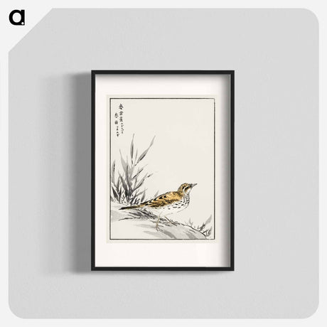 アートポスター-Chinese Tree-Pipit and Wheat
 - 鳥類図鑑 Poster.