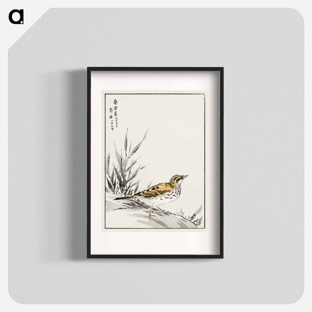 アートポスター-Chinese Tree-Pipit and Wheat
 - 鳥類図鑑 Poster.