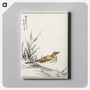 アートパネル-Chinese Tree-Pipit and Wheat
 - 鳥類図鑑 Canvas.