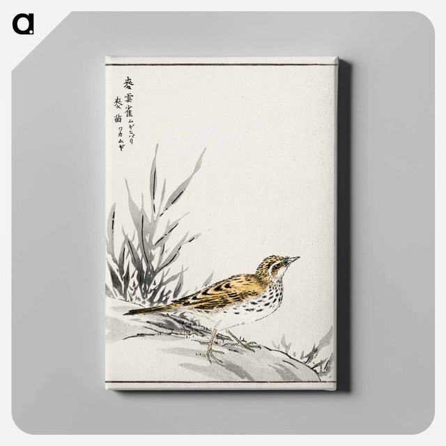 アートパネル-Chinese Tree-Pipit and Wheat
 - 鳥類図鑑 Canvas.