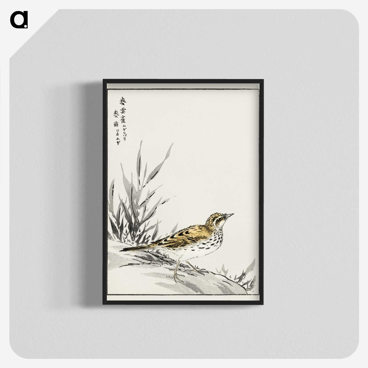 1-76_Pictorial-Monograph-of-Birds_blk-crop