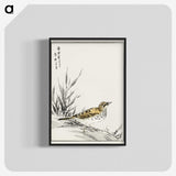 1-76_Pictorial-Monograph-of-Birds_blk-crop