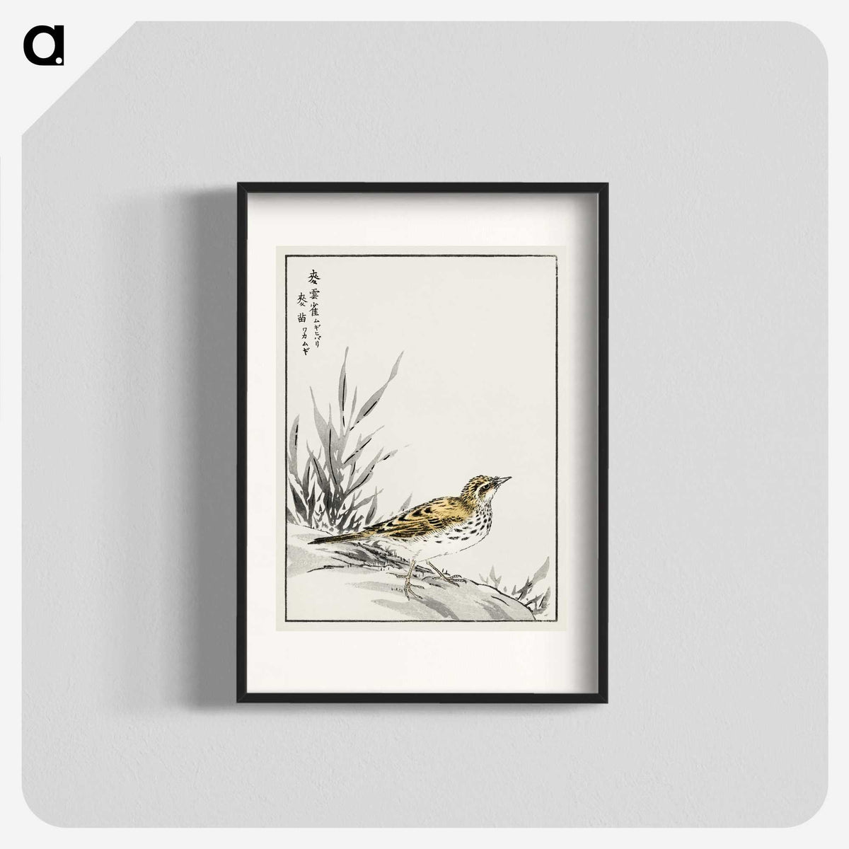 1-76_Pictorial-Monograph-of-Birds_blk