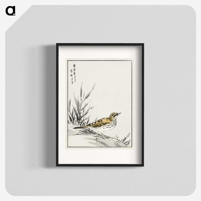 1-76_Pictorial-Monograph-of-Birds_blk