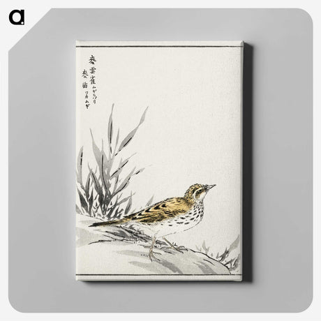1-76_Pictorial-Monograph-of-Birds_canvas