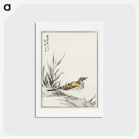 1-76_Pictorial-Monograph-of-Birds_hagaki