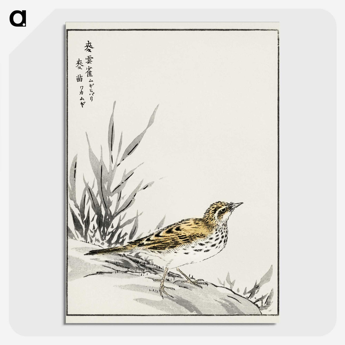 1-76_Pictorial-Monograph-of-Birds_picture-crop