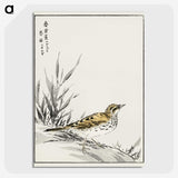 1-76_Pictorial-Monograph-of-Birds_picture-crop