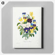 アートパネル-Pansy bouquet - ピエール ジョゼフ ルドゥーテ Canvas.