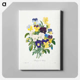 アートパネル-Pansy bouquet - ピエール ジョゼフ ルドゥーテ Canvas.