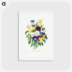 アートポストカード-Pansy bouquet - ピエール ジョゼフ ルドゥーテ Postcard.