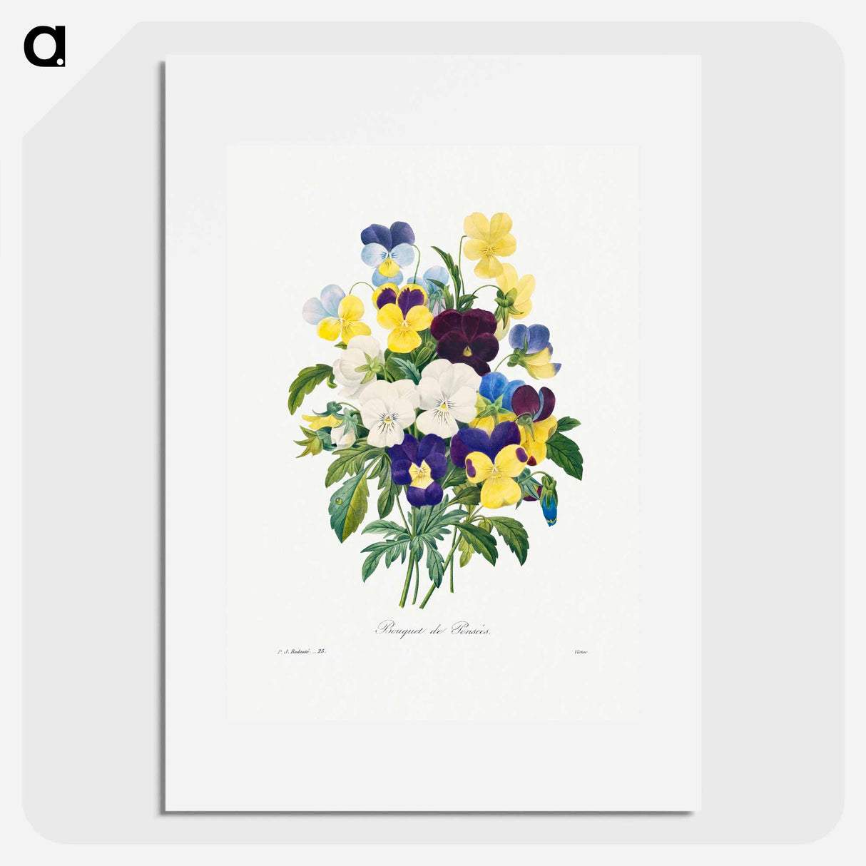 Pansy bouquet - ピエール ジョゼフ ルドゥーテ Poster.