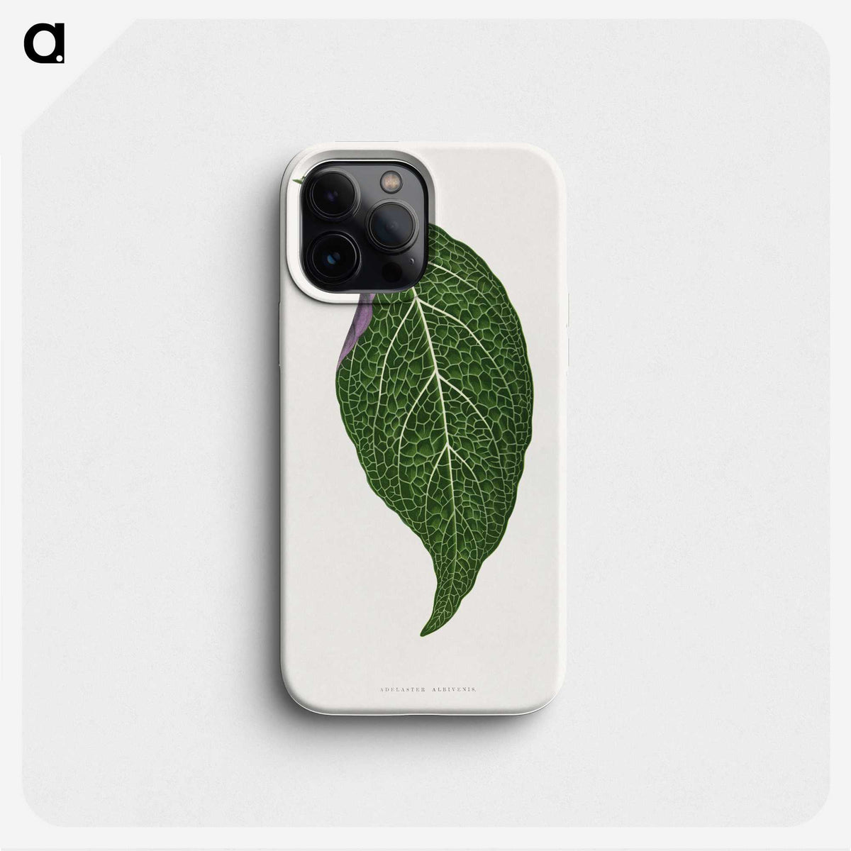 1-76_Plants-with-Colored-Foliage_phone