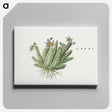 1-76_Robert-Jacob-Gordon_canvas