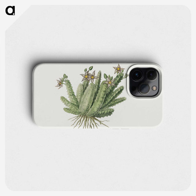 1-76_Robert-Jacob-Gordon_phone