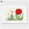 1-76_Seiyo-Soka-Zufu_picture