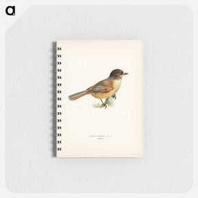 アートメモ帳-Siberian Jay
 - スヴェンスカ フォグラル Memo.