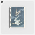 アートメモ帳-Lesser Tern from Birds of America
 - アメリカの鳥たち Memo.