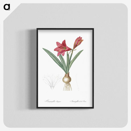 1-76_The-Lilies_blk-crop