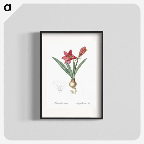 1-76_The-Lilies_blk