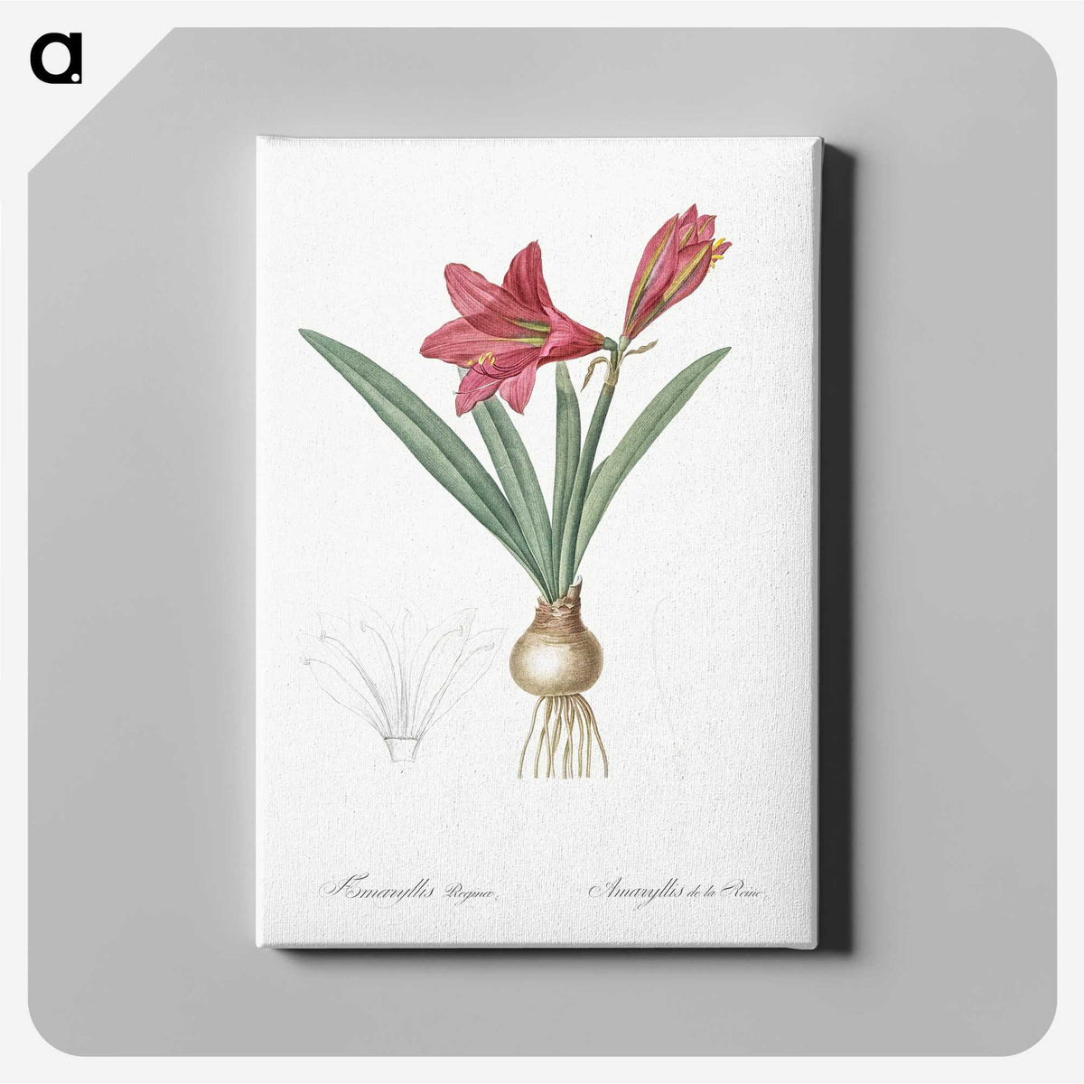 1-76_The-Lilies_canvas