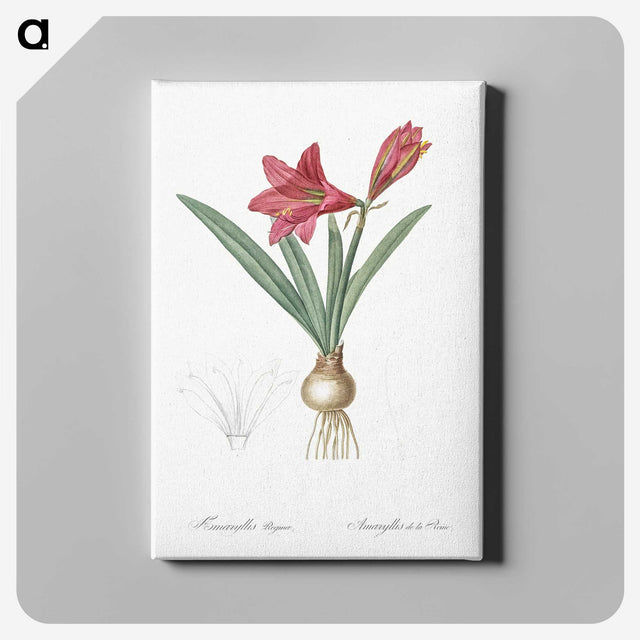 1-76_The-Lilies_canvas