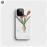 1-76_The-Lilies_phone