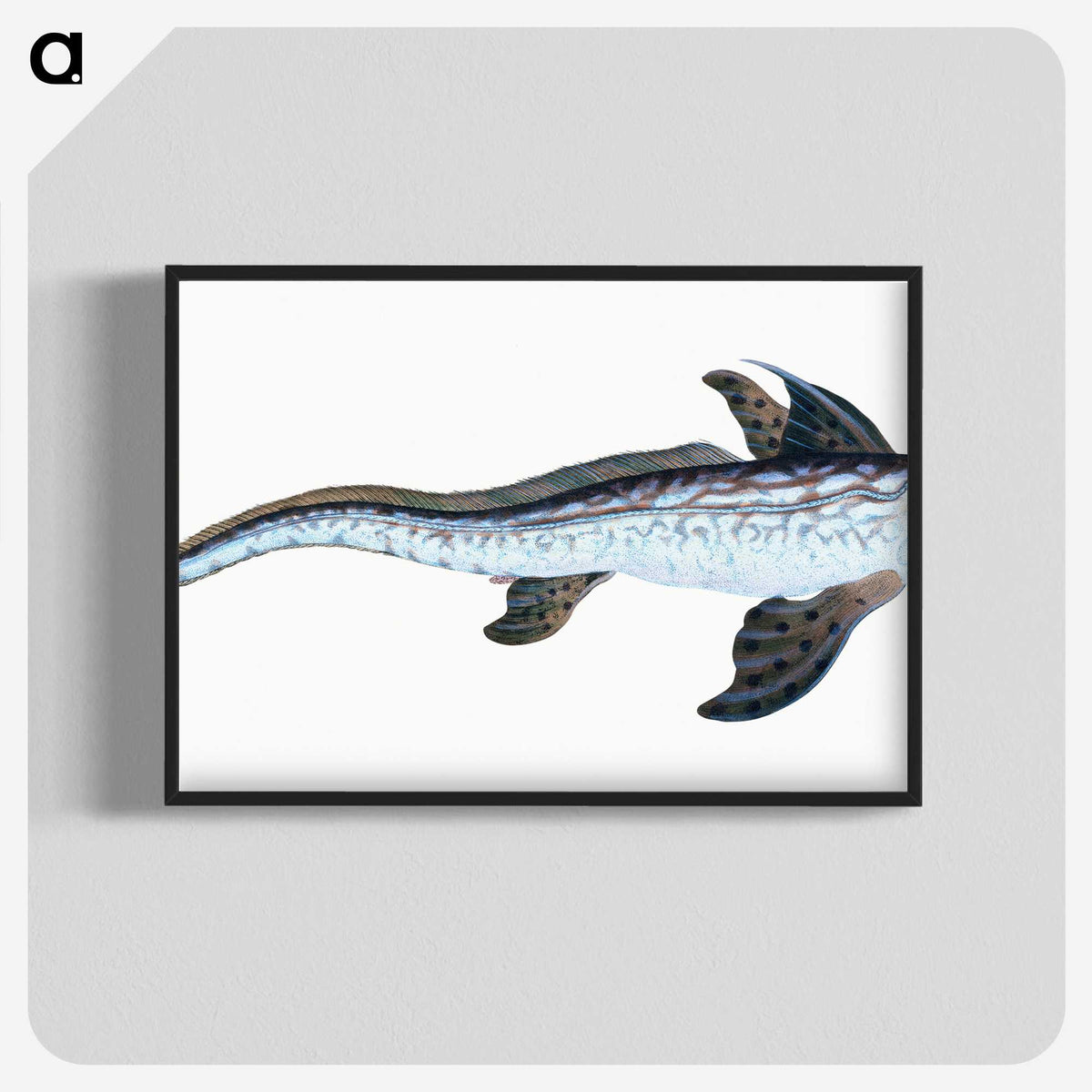 1-76_The-Natural-History-of-British-Fishes_blk-crop