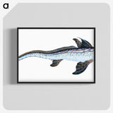 1-76_The-Natural-History-of-British-Fishes_blk-crop