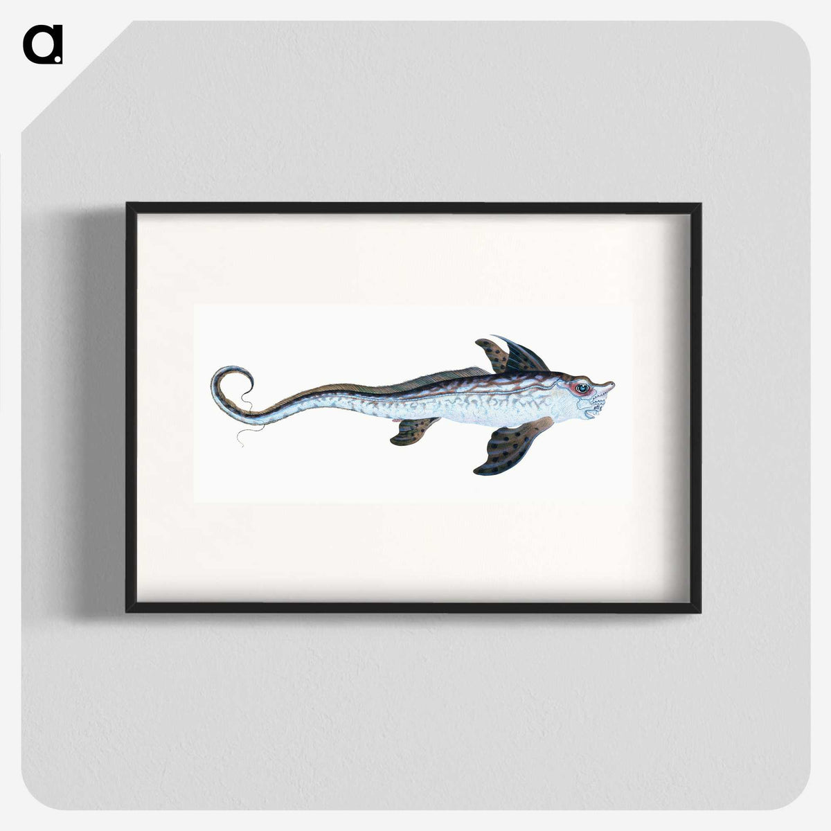 1-76_The-Natural-History-of-British-Fishes_blk