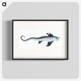 1-76_The-Natural-History-of-British-Fishes_blk