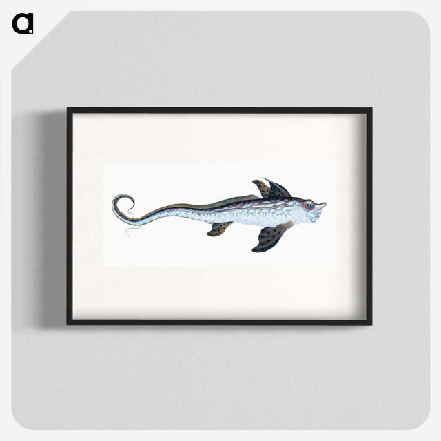 1-76_The-Natural-History-of-British-Fishes_blk